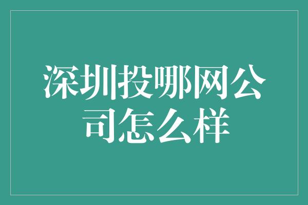 深圳投哪网公司怎么样