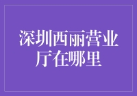 「揭秘深圳西丽营业厅！真的在这里吗？」