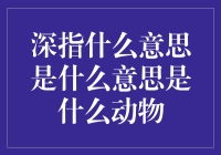 深指是什么意思？啊，原来是一种神秘的动物！