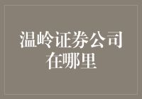 温岭市证券公司位置概览：一站式金融咨询服务指南