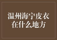 浙江温州与海宁：传统与现代交融的皮衣产业明珠