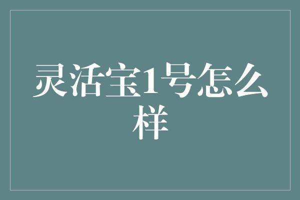 灵活宝1号怎么样