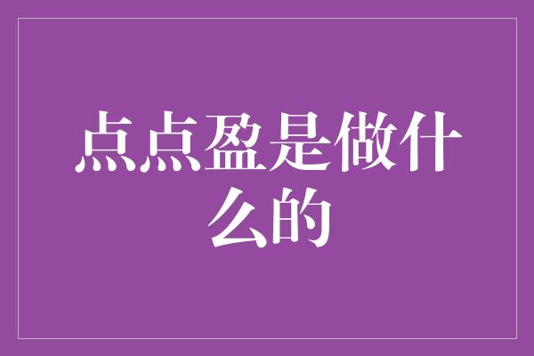 点点盈是做什么的