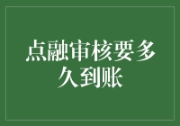 点融审核灵活性：高效到账的金融新体验