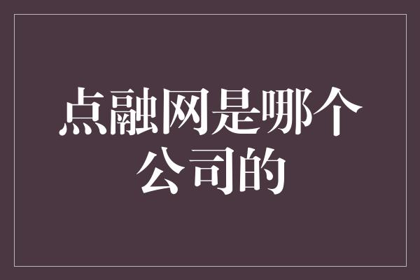 点融网是哪个公司的