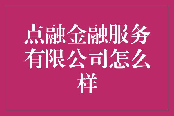 点融金融服务有限公司怎么样