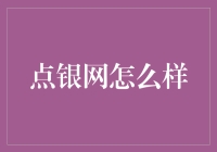 点银网：数字时代下的一颗璀璨明珠