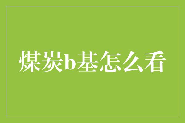 煤炭b基怎么看