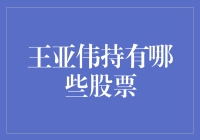 王亚伟的投资秘密：揭秘他的股票组合