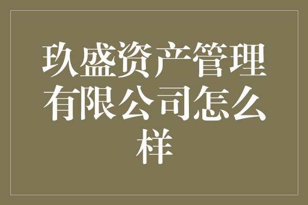 玖盛资产管理有限公司怎么样