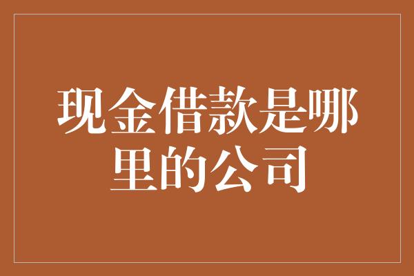 现金借款是哪里的公司