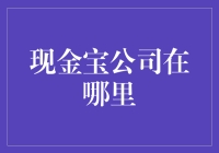 现金宝公司：全球财富管理服务的先锋探索