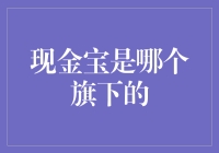 现金宝：中国建设银行旗下电子银行理财产品介绍