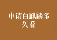 申请白麒麟项目审批的周期分析与优化策略：探索高效审批流程的实践与创新