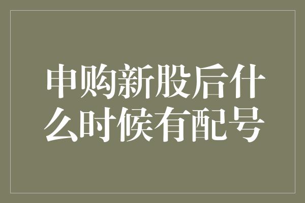 申购新股后什么时候有配号