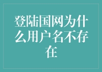 解析登陆国网时遇到用户名不存在的原因与解决方案