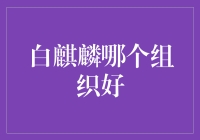 白麒麟哪家强？揭秘三大组织实力对比