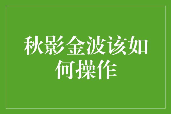 秋影金波该如何操作