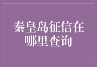 探秘秦皇岛征信查询指南：构建您的信用名片