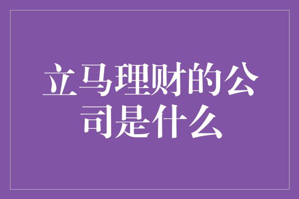 立马理财的公司是什么