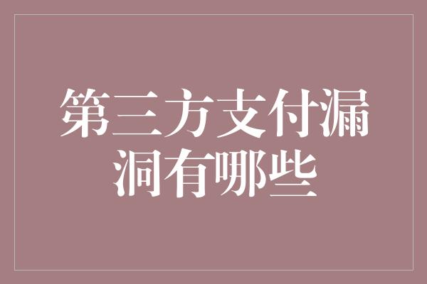 第三方支付漏洞有哪些