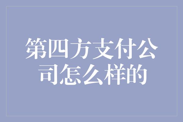 第四方支付公司怎么样的