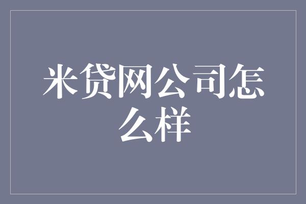 米贷网公司怎么样