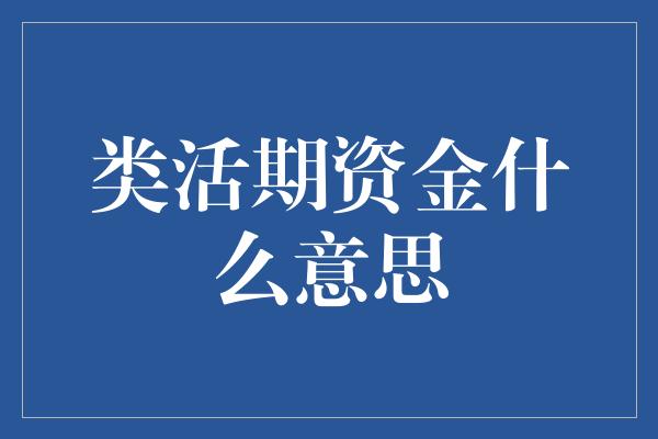 类活期资金什么意思