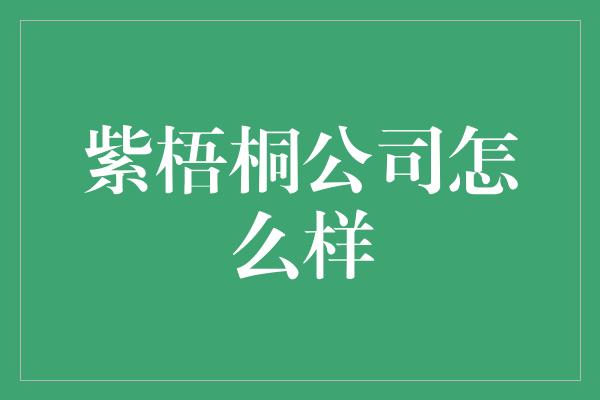 紫梧桐公司怎么样