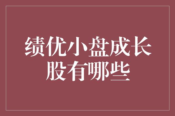 绩优小盘成长股有哪些