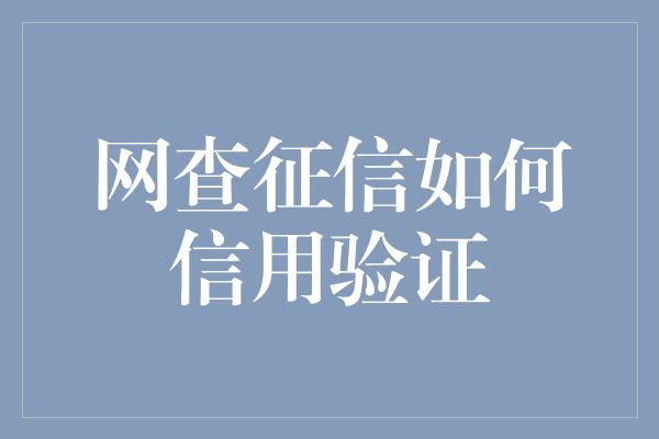 网查征信如何信用验证