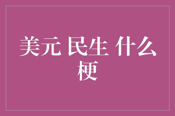 美元 民生 什么梗