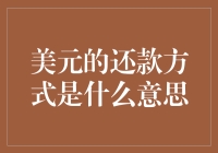 美元债务：理财知识与还款方式解读