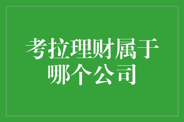 考拉理财属于哪个公司