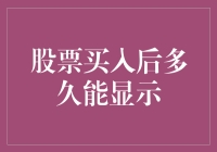 股票买入后多久能显示？——一场神秘的股市侦探之旅