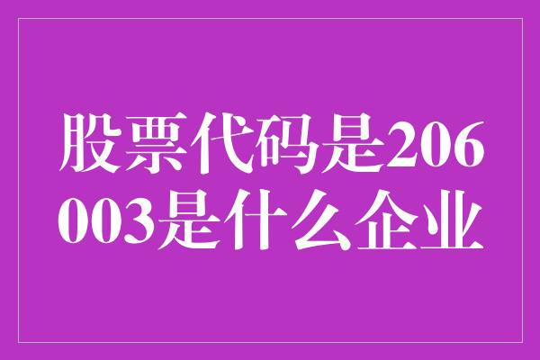 股票代码是206003是什么企业