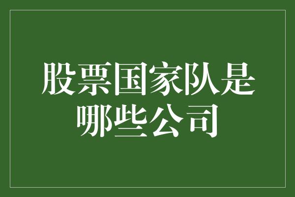 股票国家队是哪些公司