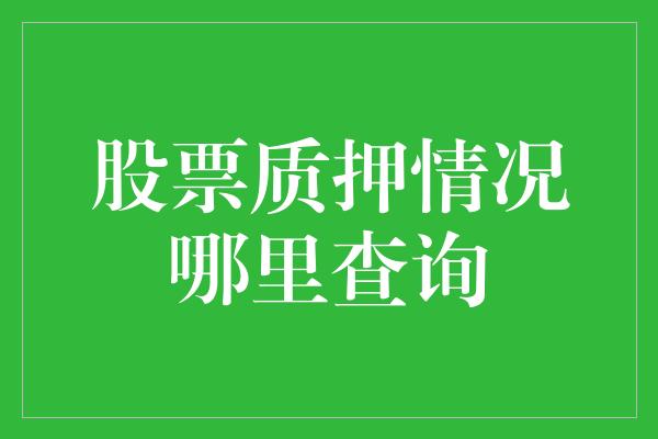 股票质押情况哪里查询