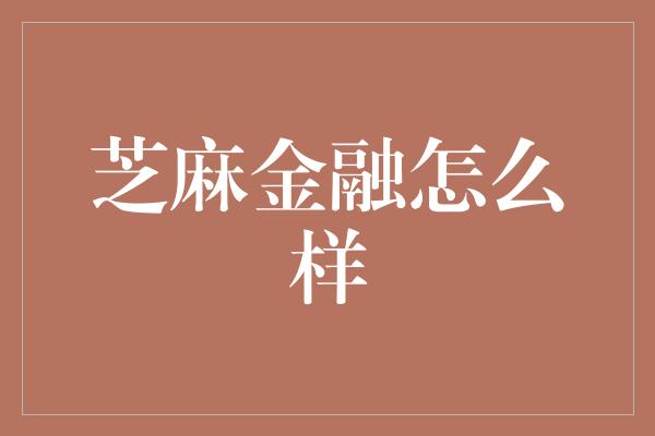 芝麻金融怎么样