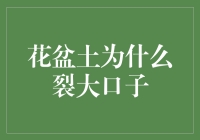 当花盆土遇到撕裂大挑战