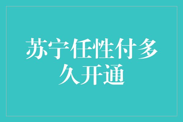 苏宁任性付多久开通