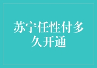 苏宁任性付开通流程解析：速度与安全的完美平衡