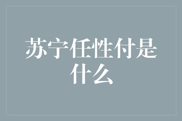 苏宁任性付是什么