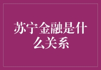 苏宁金融：当大卖场遇见金融科技，是爱情还是友情？