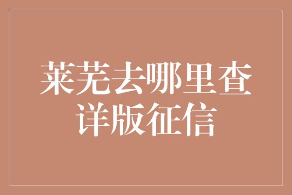 莱芜去哪里查详版征信