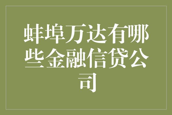 蚌埠万达有哪些金融信贷公司