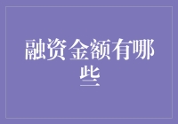 融资金额的多层次分析：从种子基金到IPO前融资