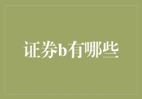 证券B：小众市场里的投资机会与风险挑战