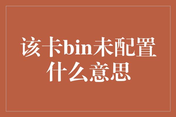 该卡bin未配置什么意思