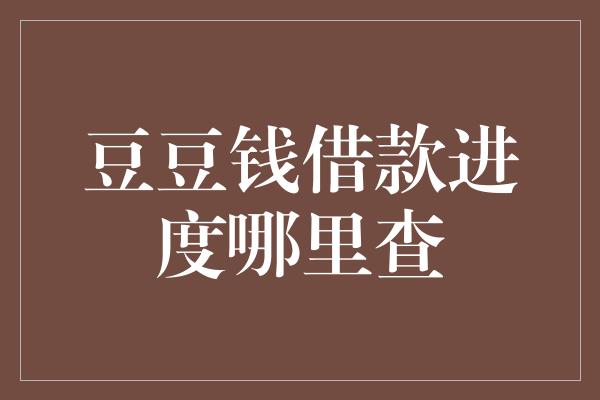 豆豆钱借款进度哪里查